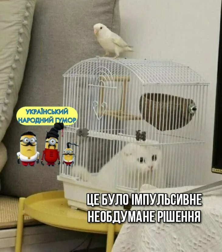 IMG-3f61d4324800fea06a0da0335ad35a6d-V.webp