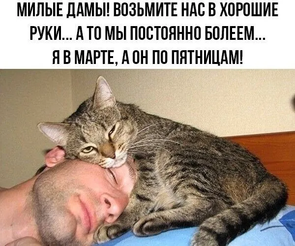 IMG-3fc2346d4b2570ec5591aa14fa5d1745-V.webp