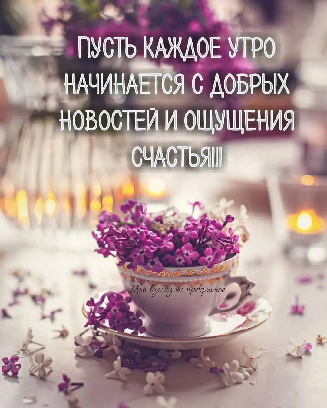 IMG-408e5b8a8611640b9214a540ac6e57cd-V.webp