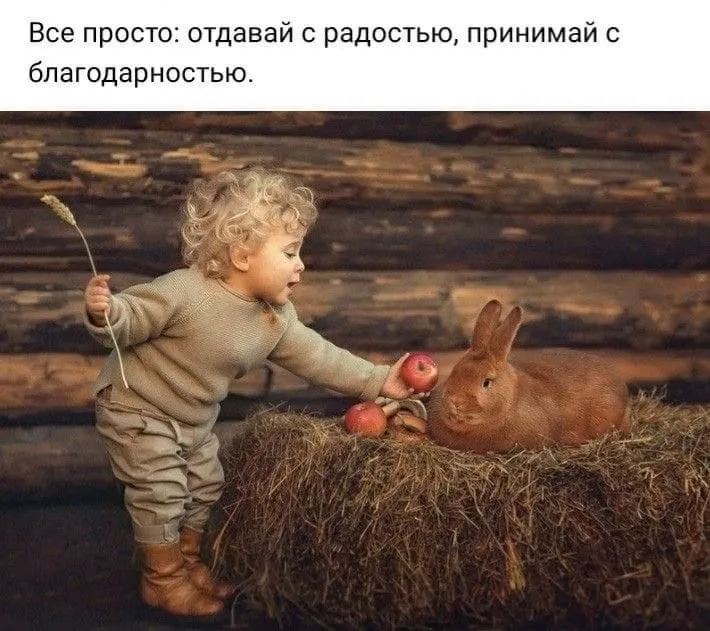 IMG-42814495754e18dde6d3a1e91d5e9528-V.webp