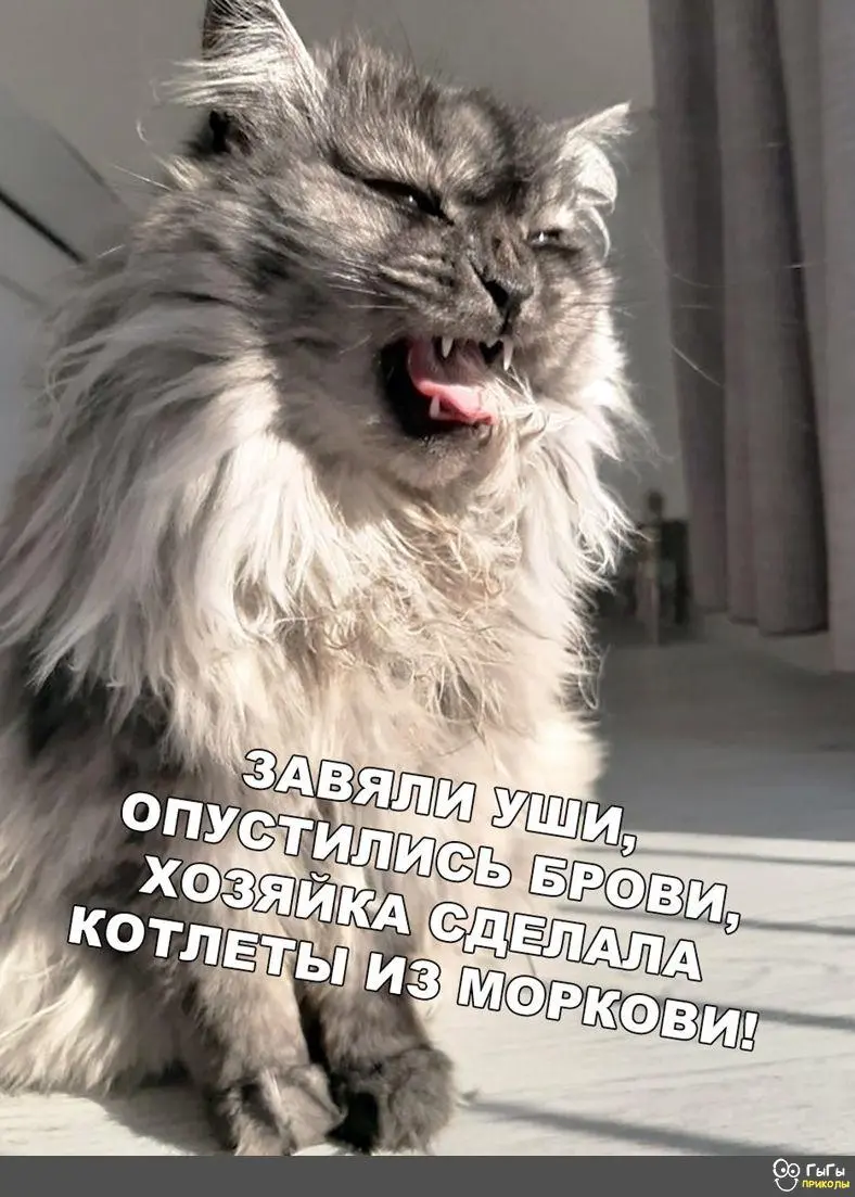 IMG-4293d229d108145fdf246407c5536d5d-V.webp