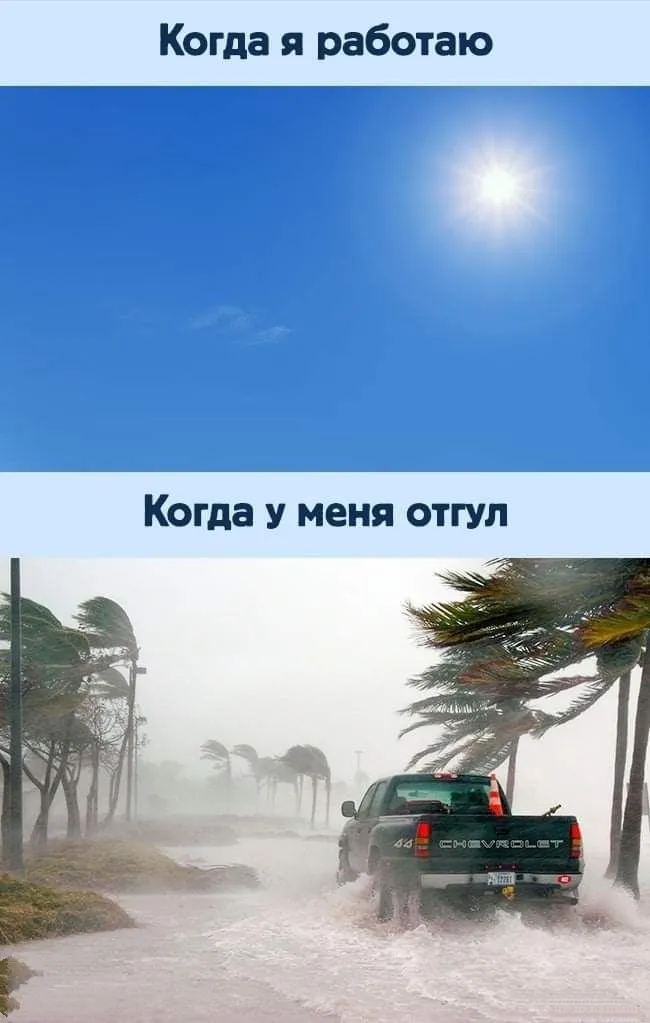 IMG-42d6e70045db7b1aa3e774fc97af3c82-V.webp