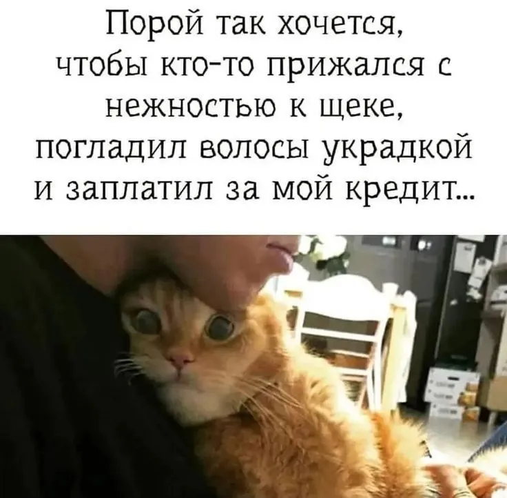 IMG-42e5547af17446a287ff01d7a758eb14-V.webp