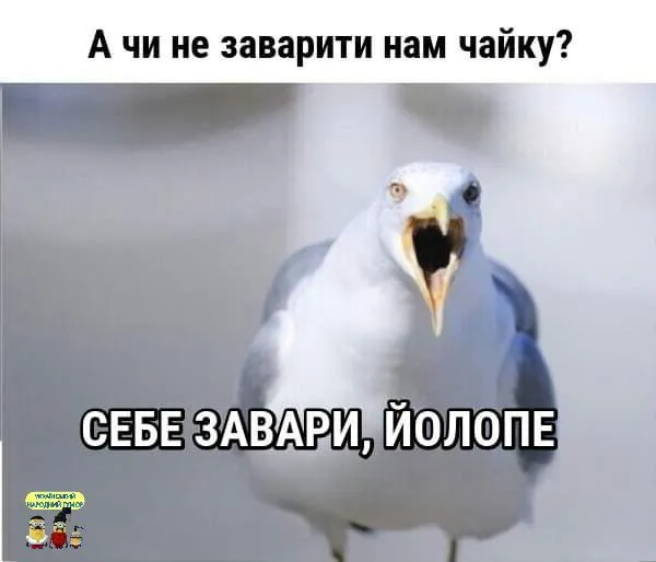 IMG-430f9e8f3905c6bfe8b6949e73a8c9a0-V.webp