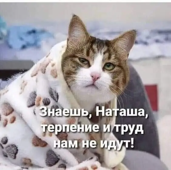 IMG-43acc433a87eb44ea9fff20f8737c029-V.webp