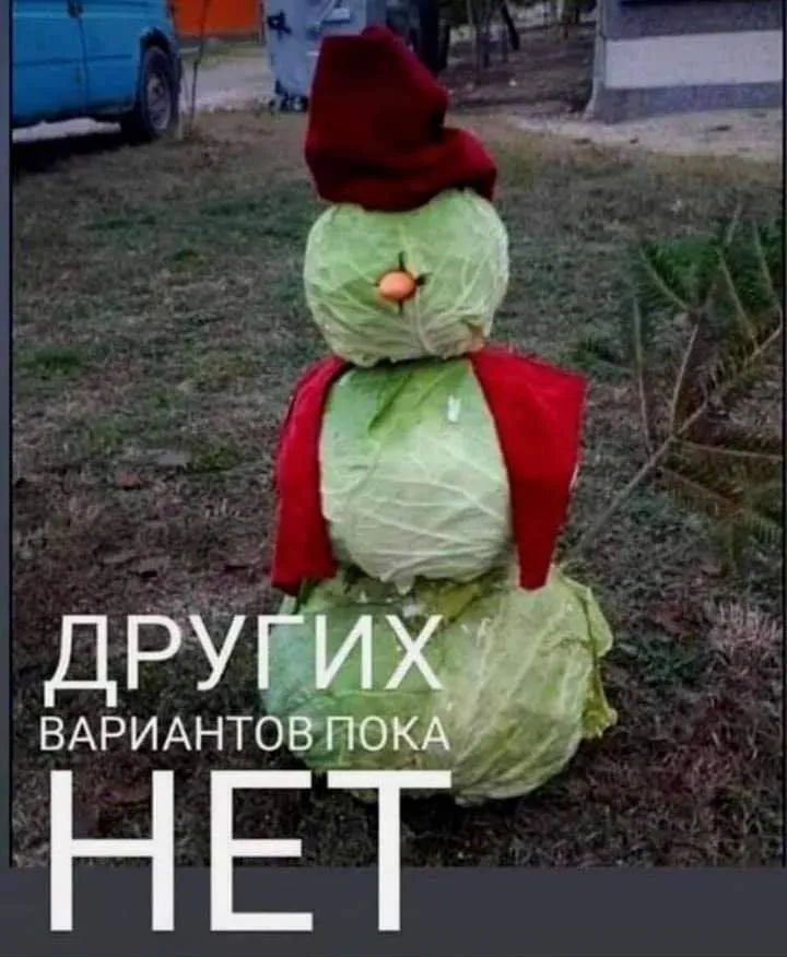 IMG-4439e5ebd838844a723bb32b5786c8e7-V.webp