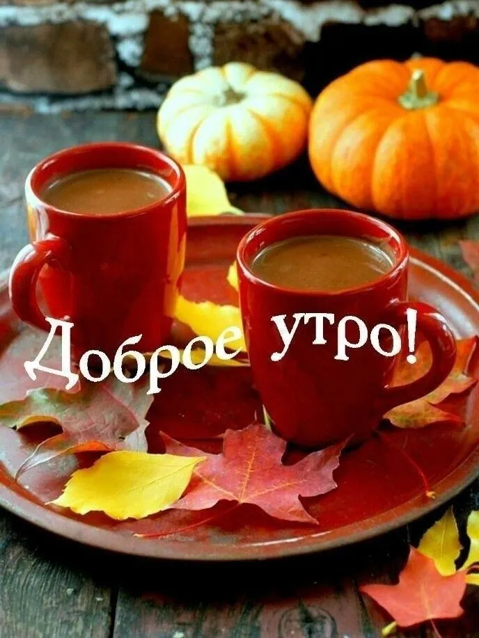 IMG-4445de79bd141590cd249c9d594dba75-V.webp