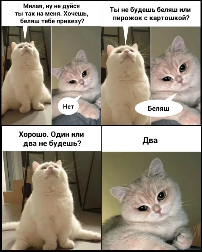 IMG-44c955ffbcd32985a540c87c36e83f22-V.webp
