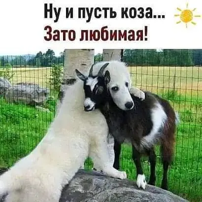 IMG-450d9a4ff3a84e3a54c548a8c8538333-V.webp