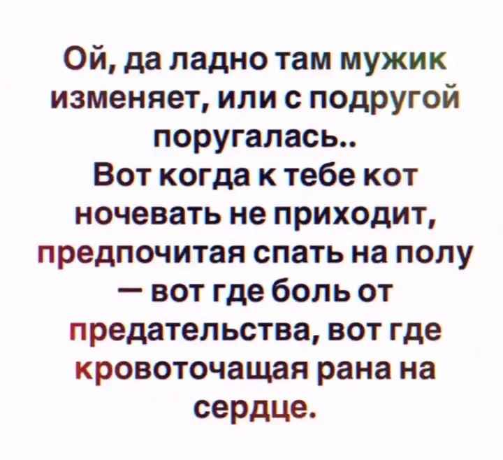 IMG-45fb6888eb4cab9197848e5b00f198b7-V.webp