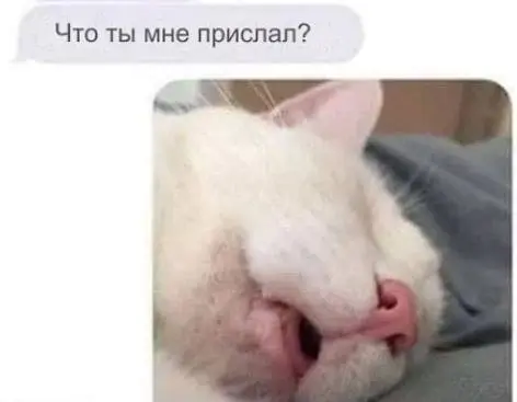 IMG-461900e1ee89f69cd9efecd1badcc1c5-V.webp