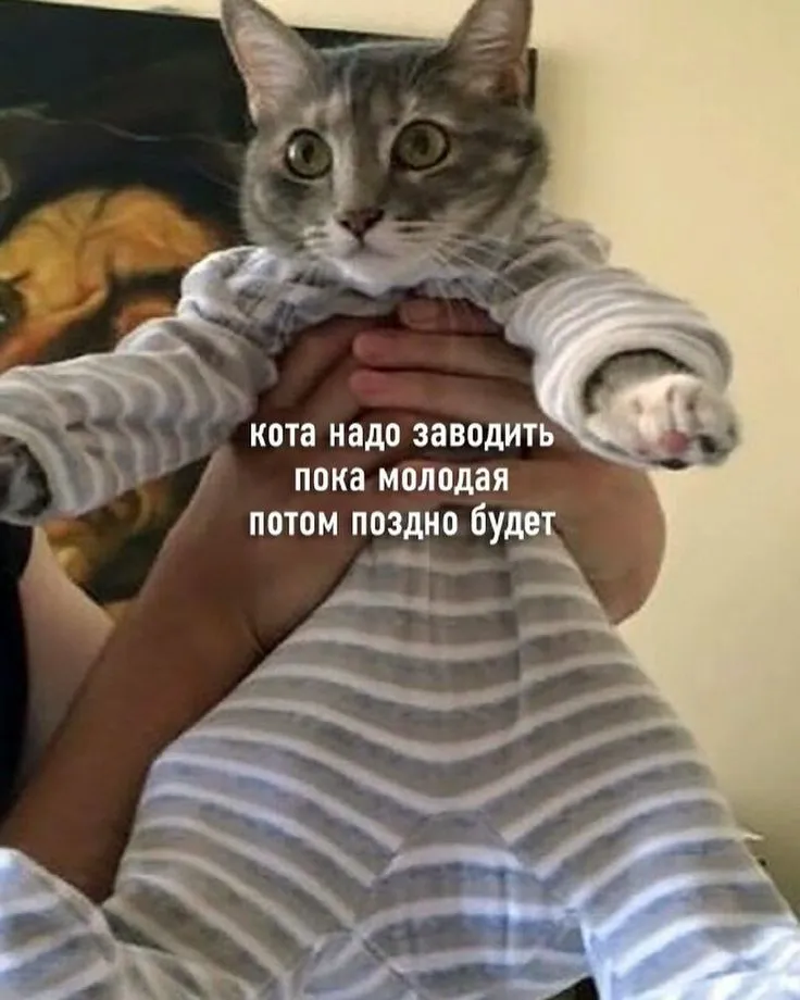 IMG-469c2097440584e6fa28f9246190eb77-V.webp