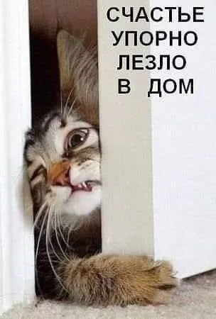 IMG-478193eec06259c2dcb39a7d5ab9df3b-V.webp