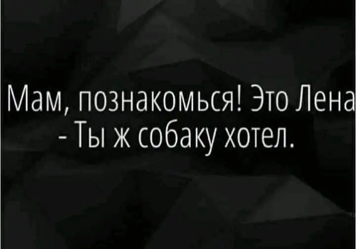 IMG-49613ab7e20ac0afd1b3a1ee00e1143c-V.webp
