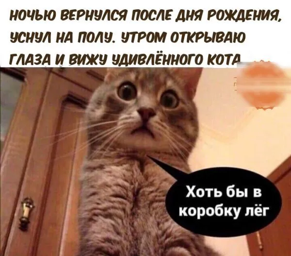 IMG-49a60edf024ba77c4b8ea4ccd83eda78-V.webp