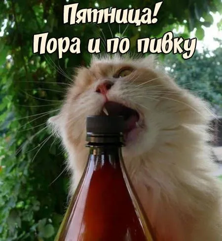 IMG-4bbe7d60b2617a808c1f7e06b9a11877-V.webp