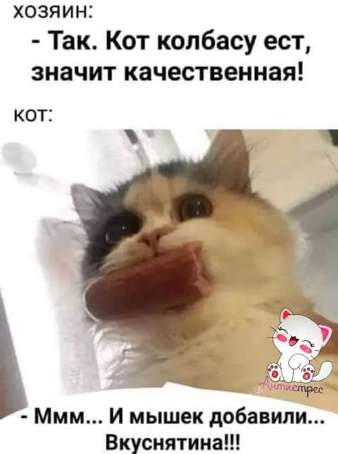 IMG-4c0a5bd9b227d6a495c6e1f2b850ae57-V.webp