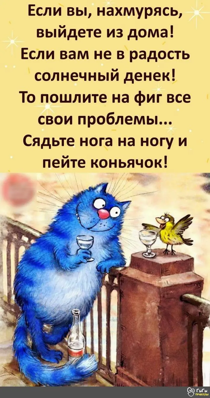 IMG-4cff2c8bcf9cfc4cb03cdaf1648edb6a-V.webp