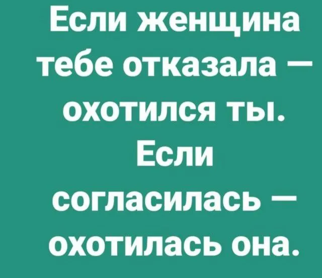 IMG-4d198992404c1f5ccdaccc5157fbd7d4-V.webp