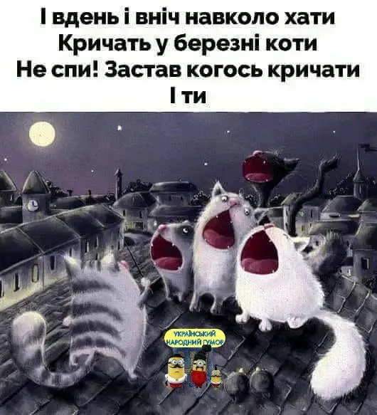 IMG-4d52630e994e99dba6c5c74732ccaaaf-V.webp