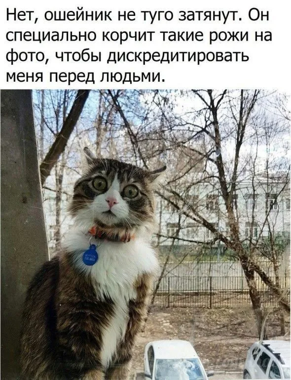 IMG-4d59d9539f1f040180bec1f3e02e54ca-V.webp