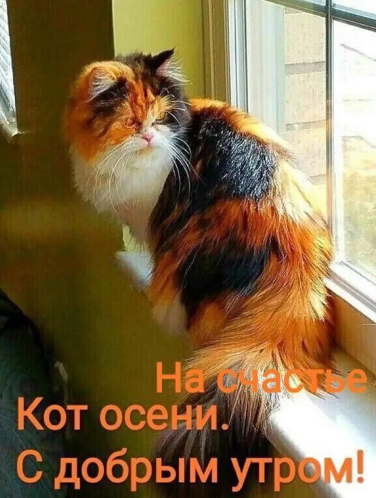 IMG-4e85ab63186ac8d32f3661149f498dab-V.webp