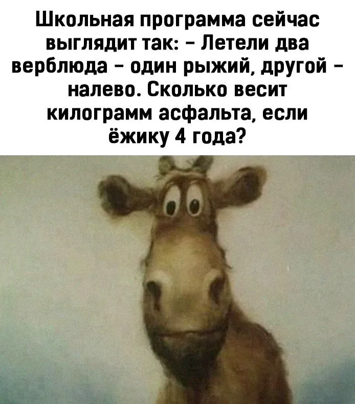 IMG-4f0bed6cf02ab1ea2ce9412f18bd1d77-V.webp