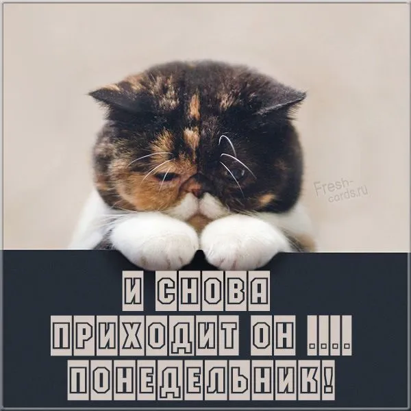 IMG-4f8d78f1d6e04ec3590c996e4d7f3672-V.webp