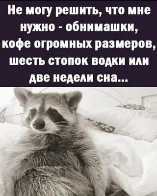 IMG-51507e8dc749b4d5074cb85bca70501e-V.webp