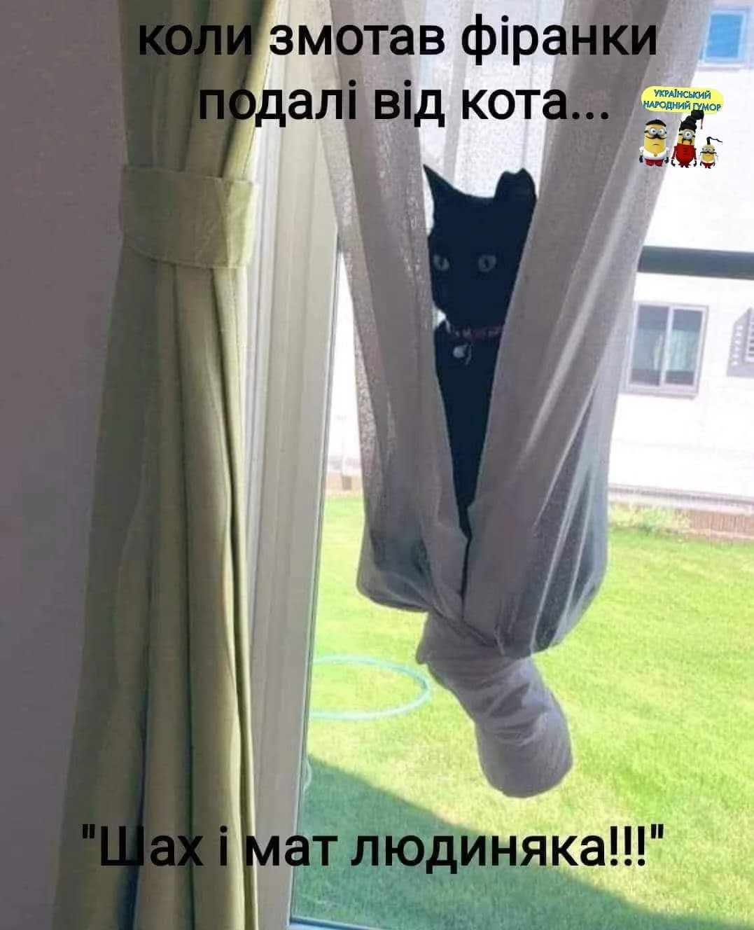 IMG-51b920c58101288fe75b0a773c9ad9e3-V.webp