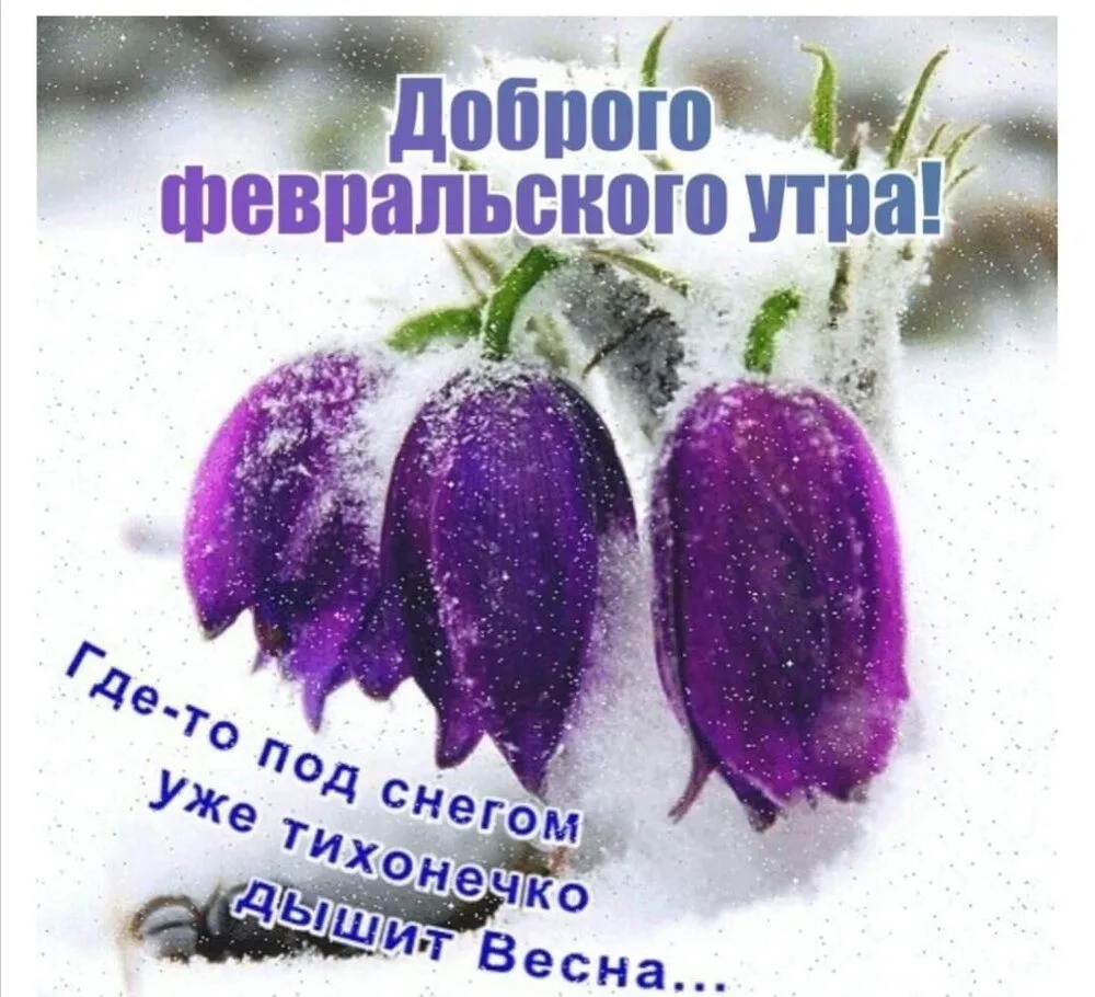 IMG-5225c094f153c2b4e5a33ea8928c12f4-V.webp