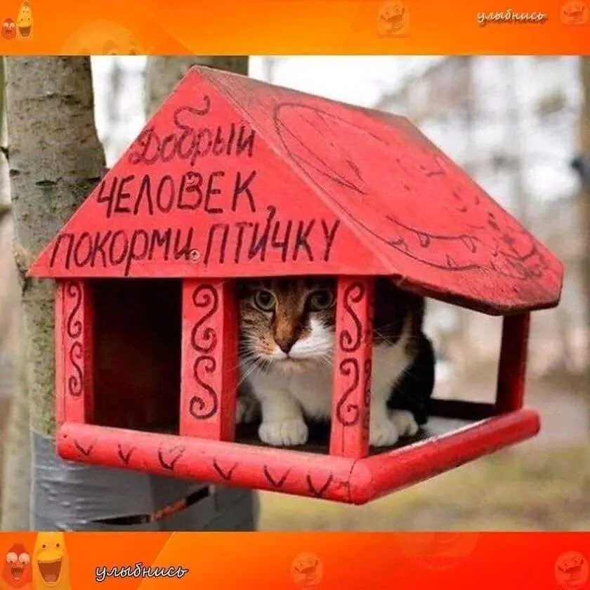IMG-522ad9e3beffeedd4e60d6195aea9deb-V.webp
