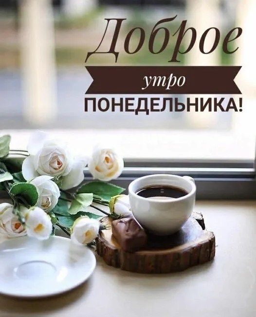 IMG-529d1872db642040e6218bbc4b76f169-V.webp