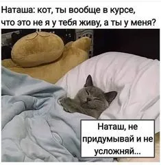 IMG-52bfc9f8483361ebe762da73e1df5d14-V.webp