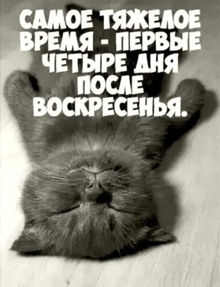 IMG-53b91764c6b19a14b5de192ce01fd728-V.webp