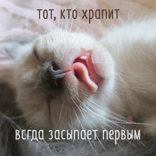 IMG-54a5677a93731032e301eab37e11409a-V.webp