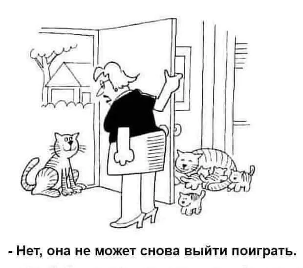 IMG-562c2b06191c15fcf47257ab57f95b6c-V.webp