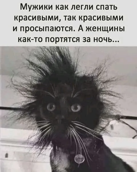 IMG-563799b4b96ebd5e8935d870fb6be020-V.webp