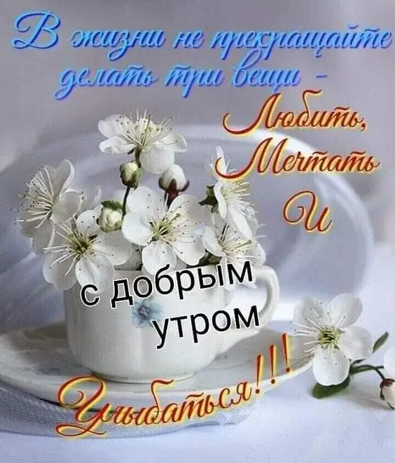 IMG-566ee71d49f1dcdbe64cc0daeecd9e54-V.webp