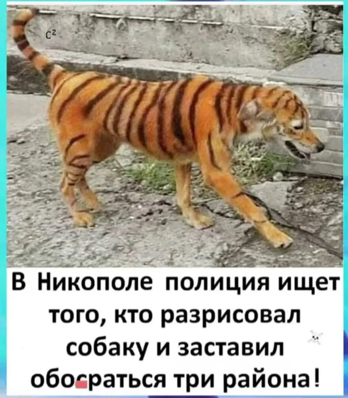 IMG-56caed3f3df1874efff4ea57524380a2-V.webp