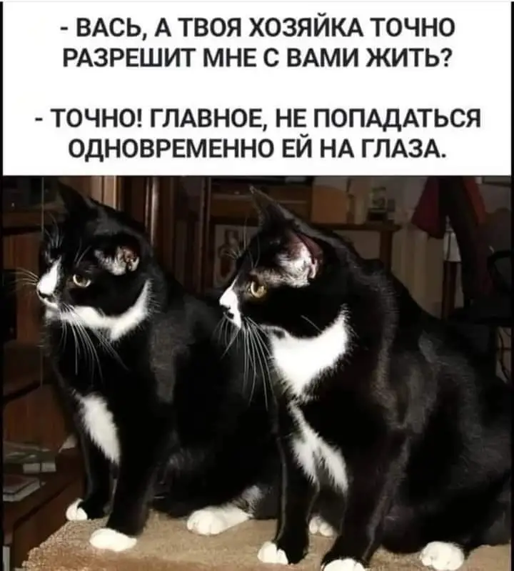 IMG-57683eb191f7e98e614546f451dcc91c-V.webp