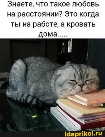 IMG-5787fbf9d006b55101bf7cdc360bbc56-V.webp