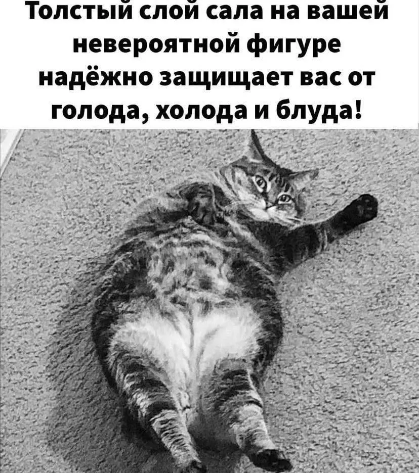 IMG-58ae95a3046f034c45e35c45065a05a1-V.webp