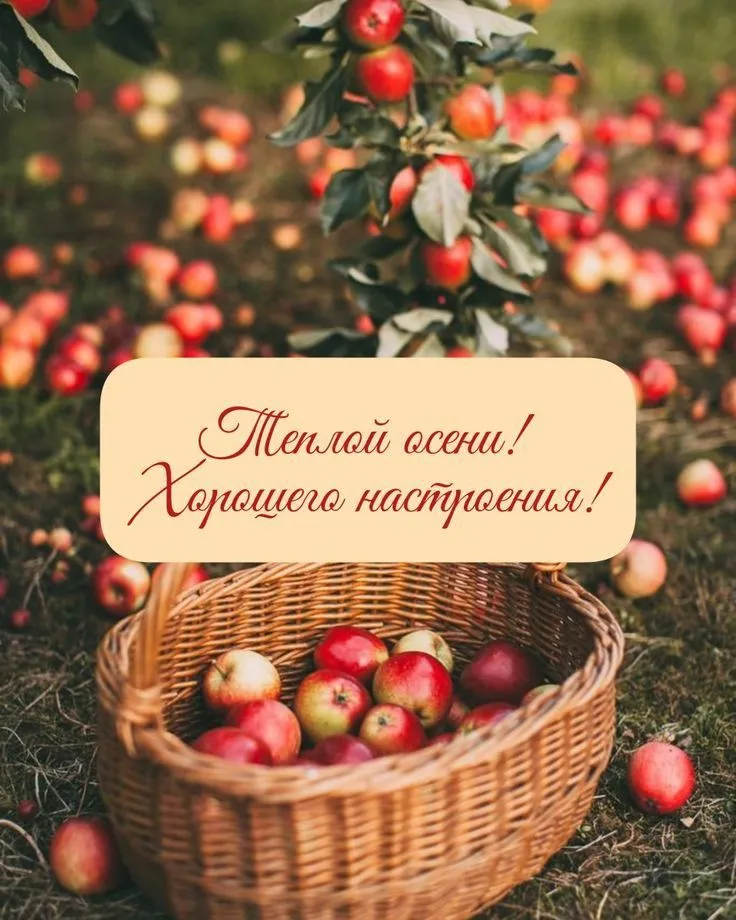 IMG-591848b74f866952d58e8a9a8e9bad86-V.webp