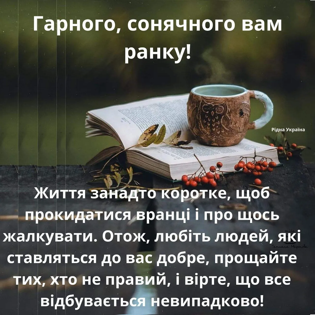 IMG-59434ca85fbf7cbe02932d7563f3c3b9-V.webp