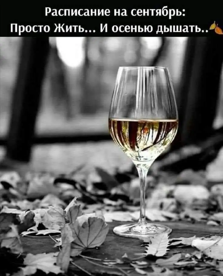 IMG-5a287702db8d3b41283c5c82ab57f8dc-V.webp