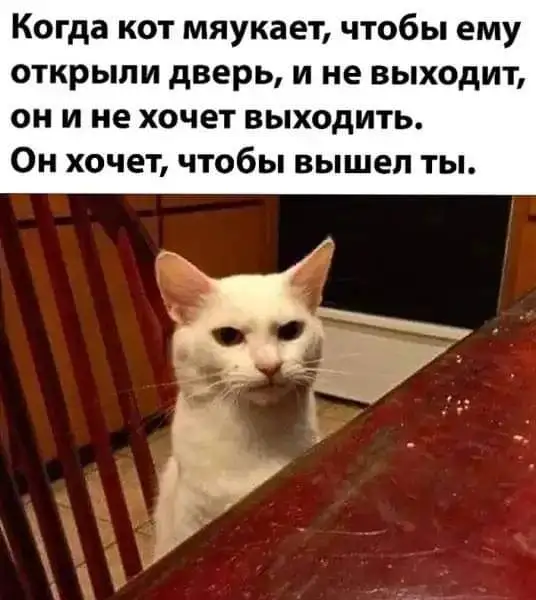 IMG-5a2f401f7d65e9884e2a6fcabaeeccb8-V.webp