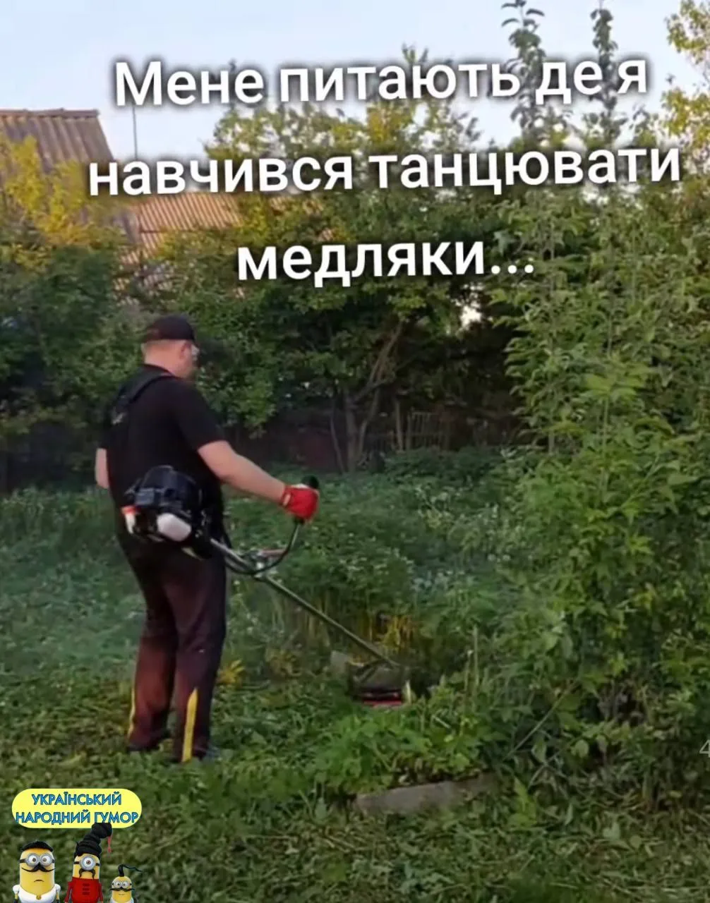 IMG-5ab1e462a6084d432f6945df99f3b9b9-V.webp