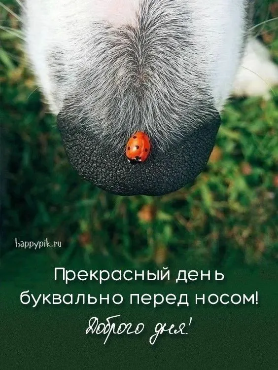 IMG-5c4545b83ebff027e9355ce6b9d9cb1e-V.webp