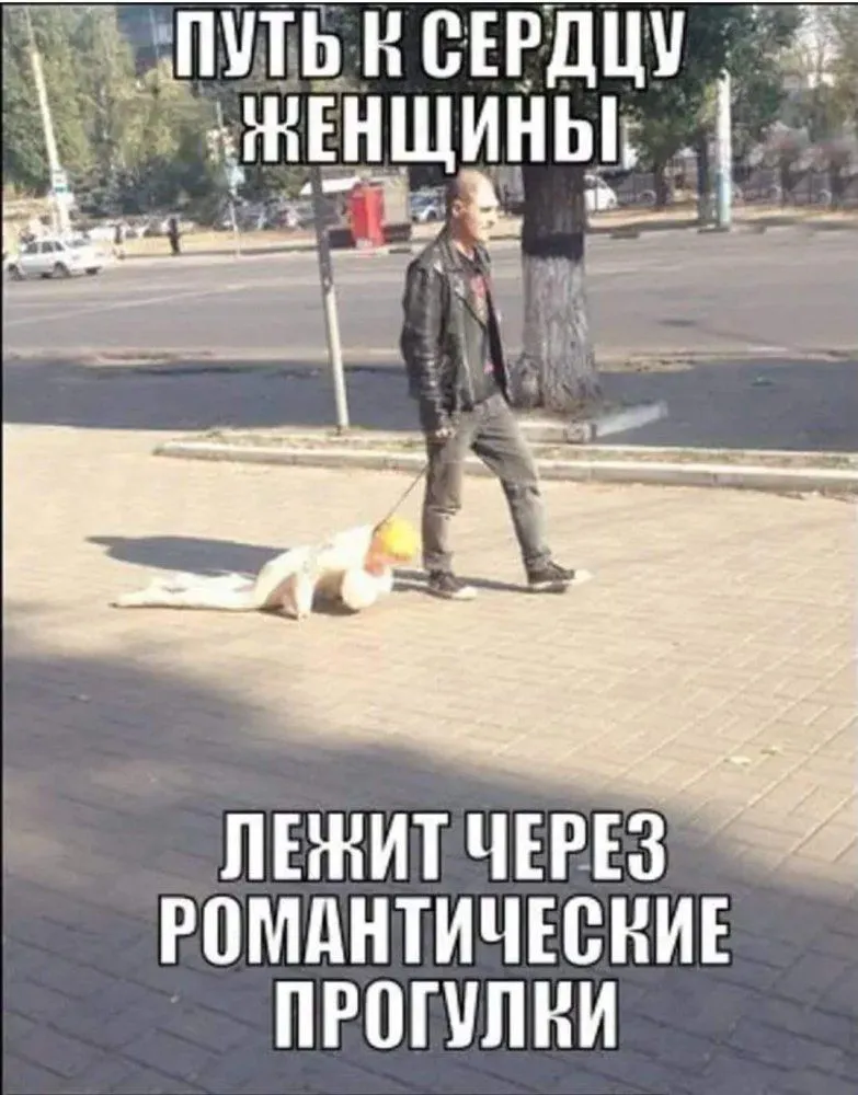 IMG-5c5e9fc92cb12e2d639dea984c9e0f4f-V.webp